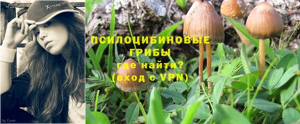 ГАЛЛЮЦИНОГЕННЫЕ ГРИБЫ Армянск