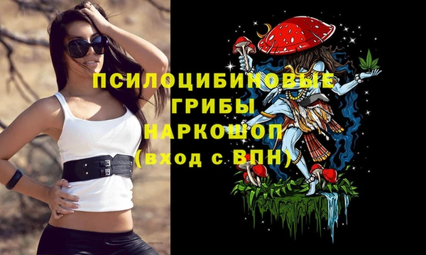 марки nbome Аркадак