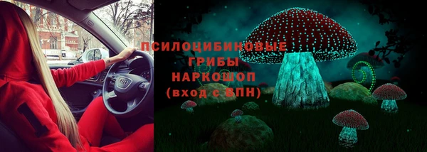 твердый Арсеньев