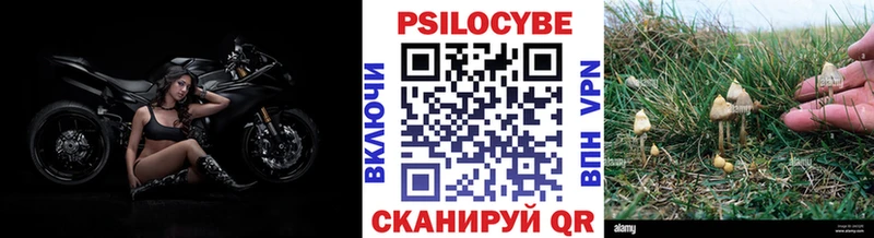 Галлюциногенные грибы прущие грибы  Баймак 